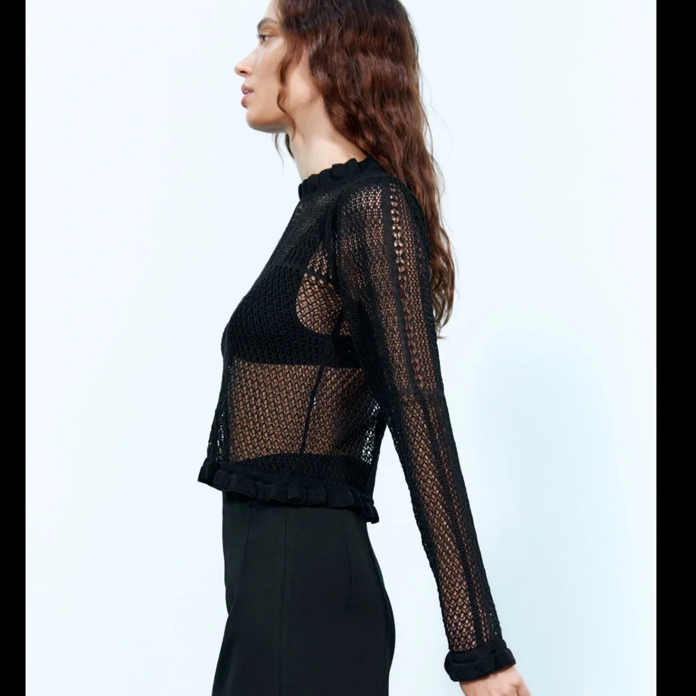 Zara Crochet pointelle openwork knit top